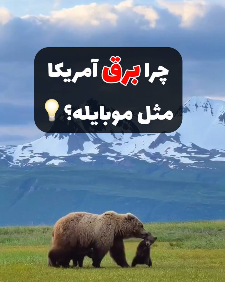 ویدیو ۳