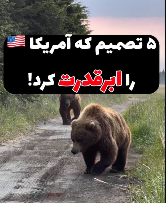 ویدیو ۵